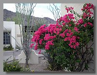 picture-0009.jpg